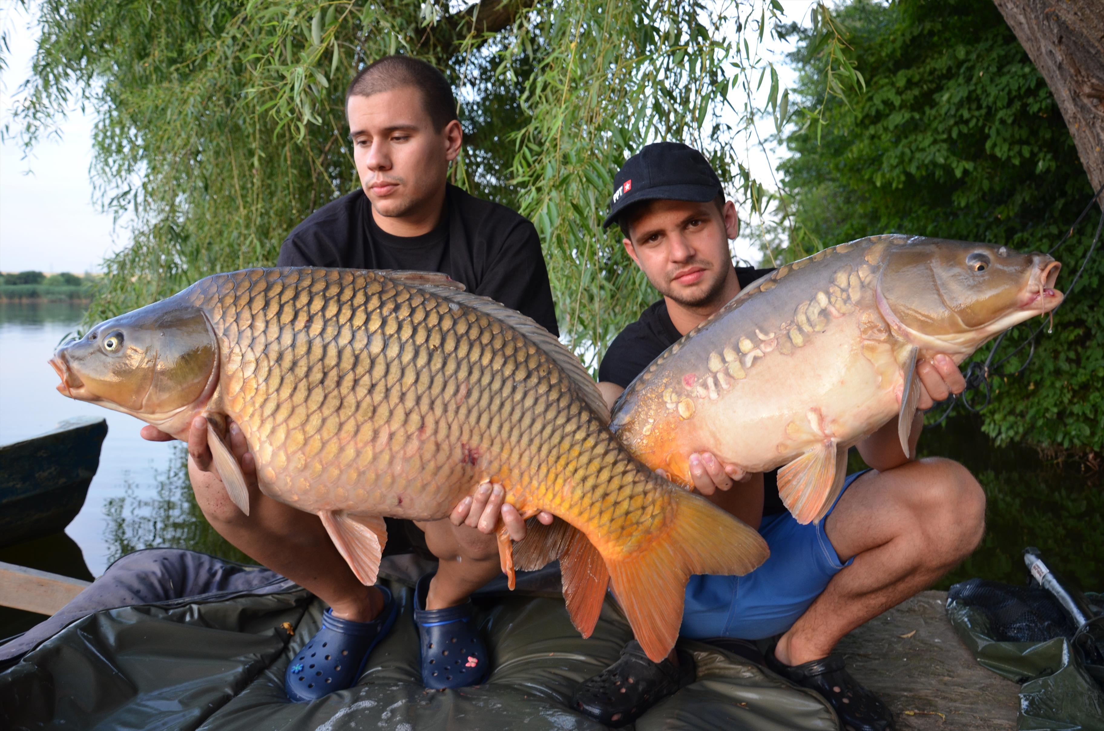 Sezon 2012 - Teste Pescuitul pentru toti Tancabesti